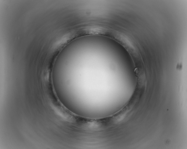 X0000091970310200709061338