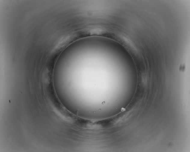 X0000091970311200709061338