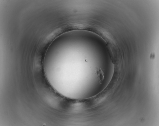 X0000091970312200709061338
