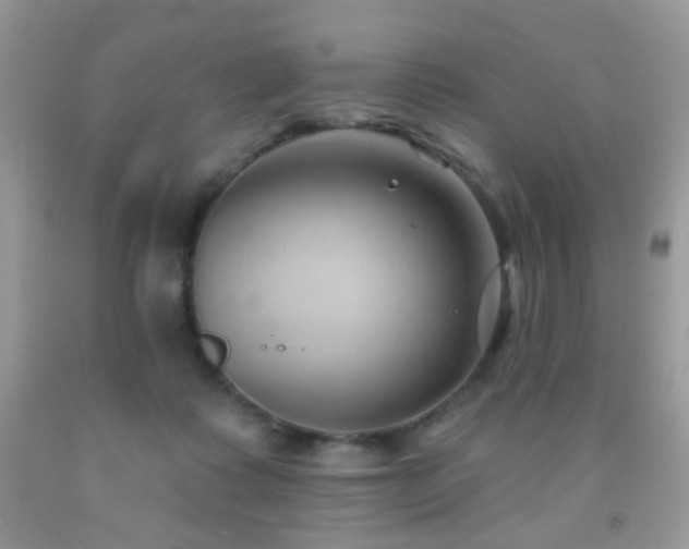X0000091970315200709061338