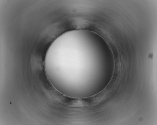 X0000091970316200709061338