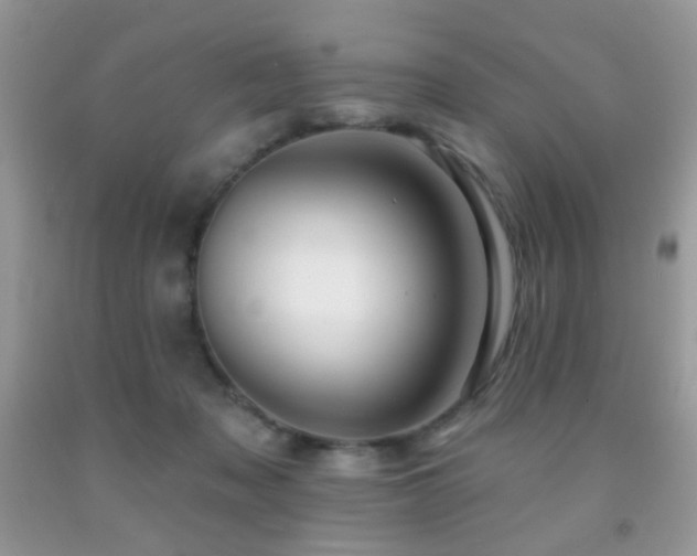 X0000091970317200709061338