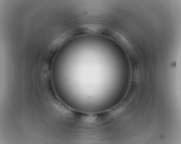 X0000091970318200709061337