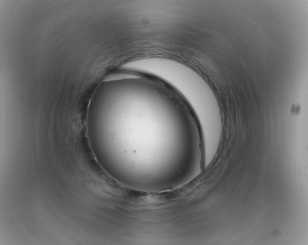 X0000091970320200709061337