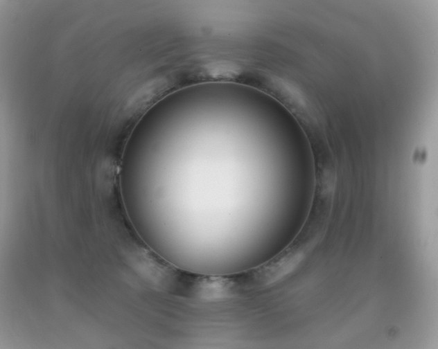 X0000091970321200709061337