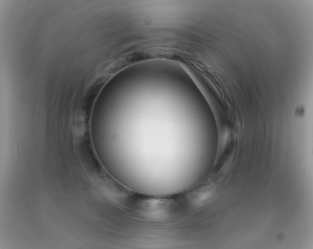 X0000091970323200709061337