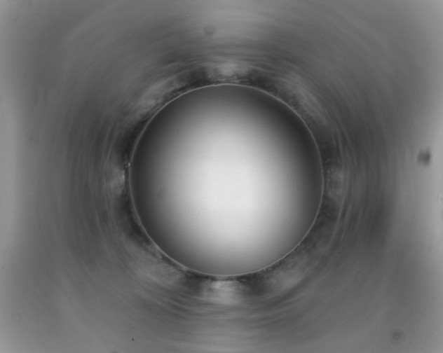 X0000091970324200709061337