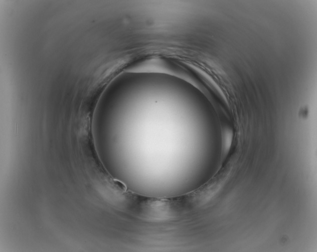 X0000091970325200709061337