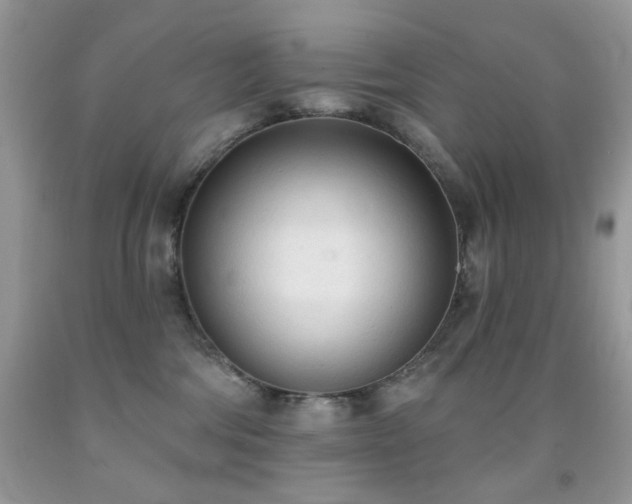 X0000091970330200709061337