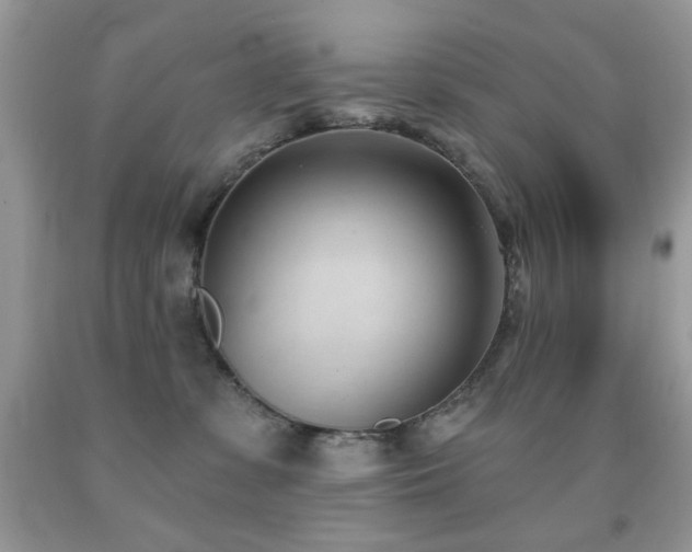 X0000091970331200709061337
