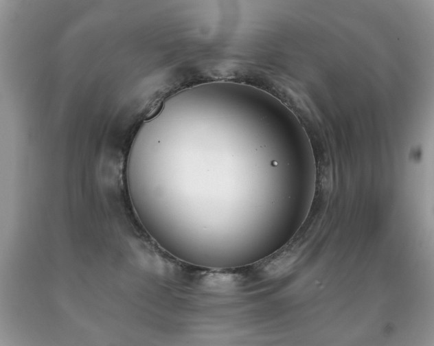 X0000091970332200709061337
