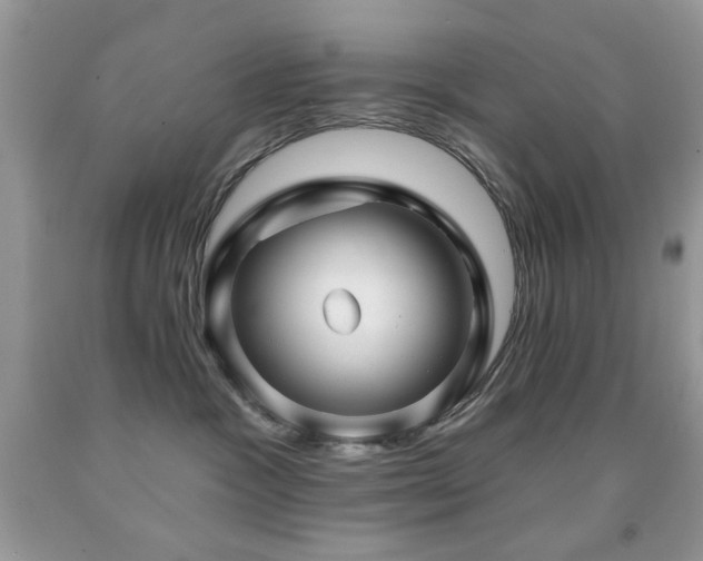X0000091970333200709061337