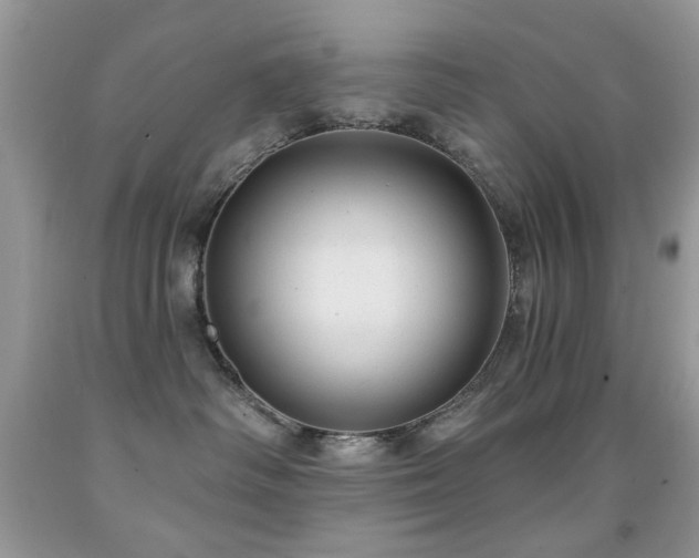 X0000091970334200709061337