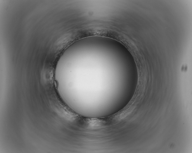 X0000091970336200709061337