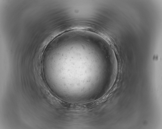 X0000091970337200709061336
