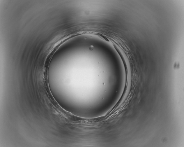X0000091970338200709061336