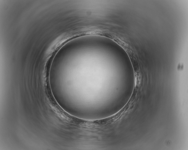 X0000091970339200709061336