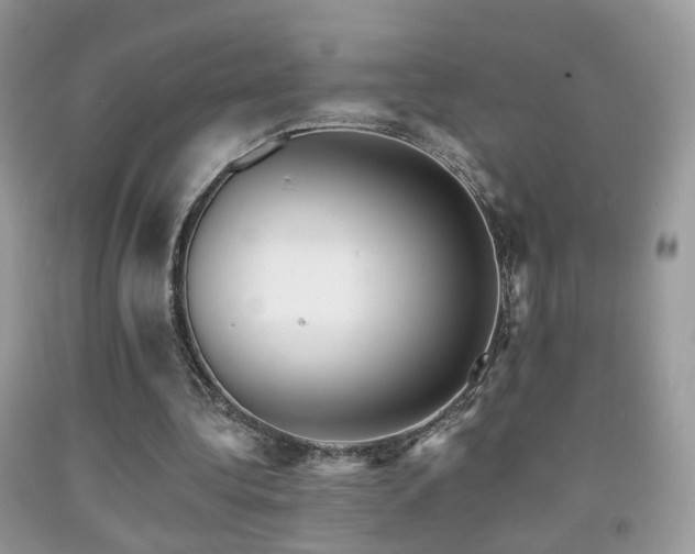 X0000091970340200709061336
