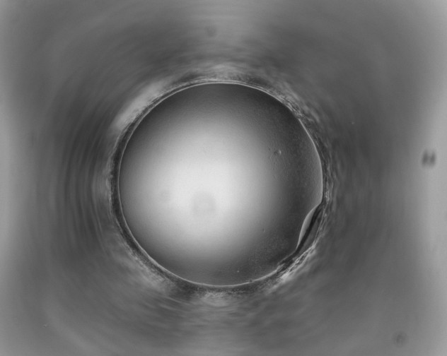 X0000091970341200709061336