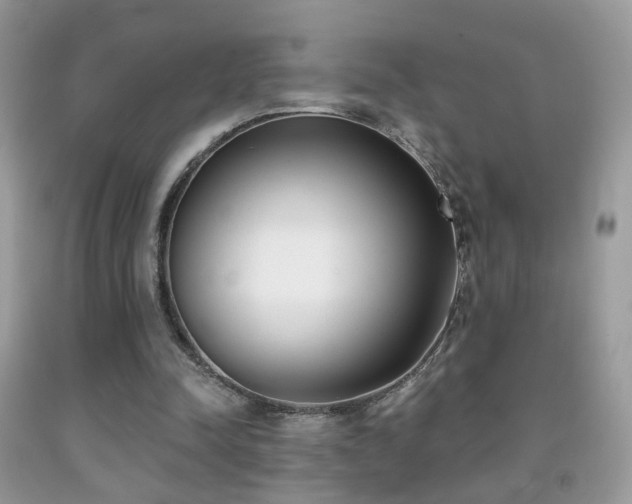 X0000091970342200709061336