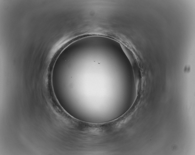X0000091970344200709061336