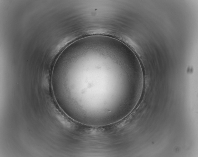 X0000091970345200709061336