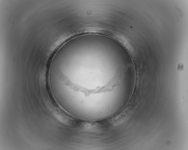 X0000091970346200709061336