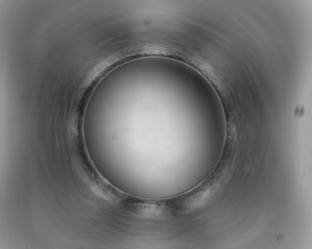 X0000091970347200709061336