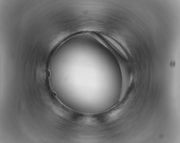 X0000091970348200709061337