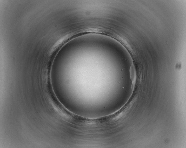 X0000091970349200709061337