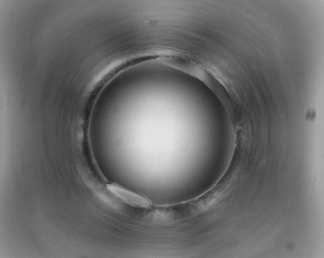 X0000091970350200709061337
