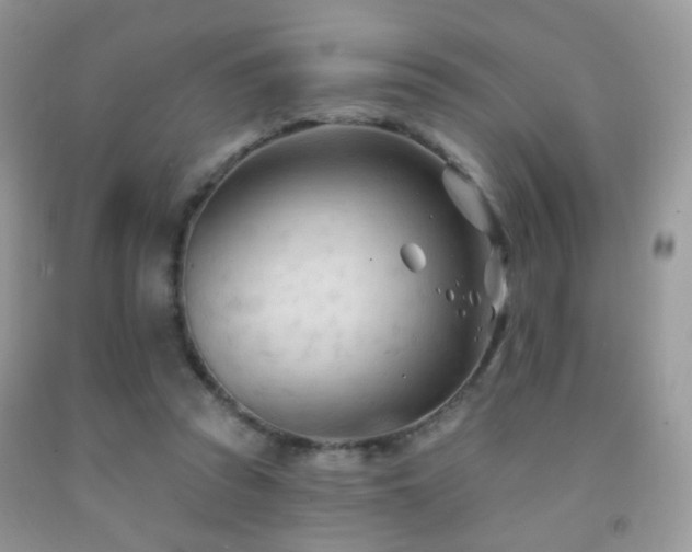 X0000091970353200709061337