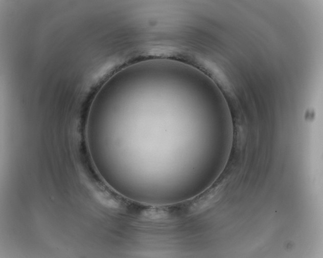 X0000091970354200709061337