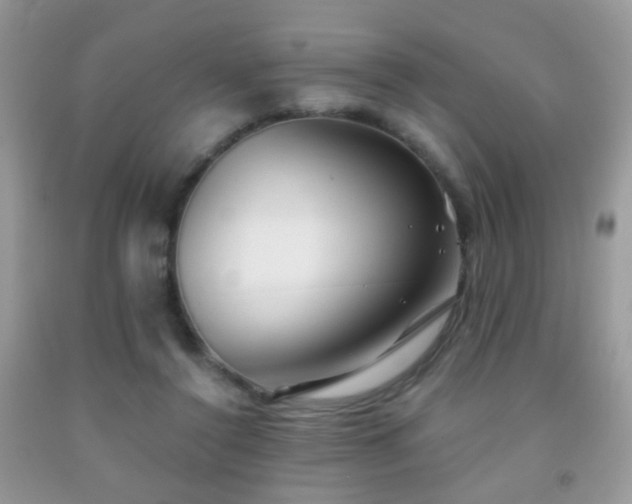 X0000091970356200709061337