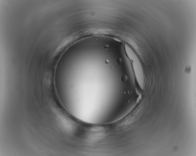 X0000091970357200709061337
