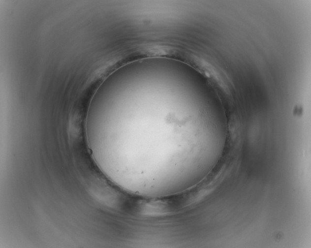 X0000091970359200709061337