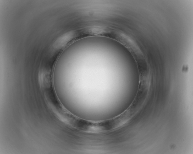 X0000091970360200709061337