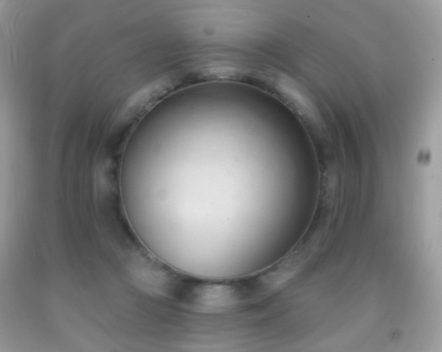 X0000091970361200709061337