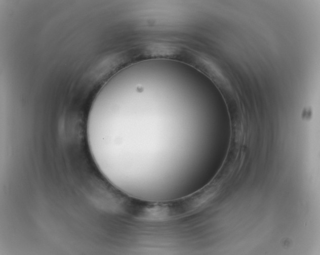 X0000091970362200709061337