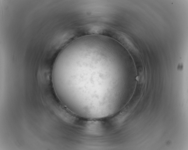 X0000091970363200709061337