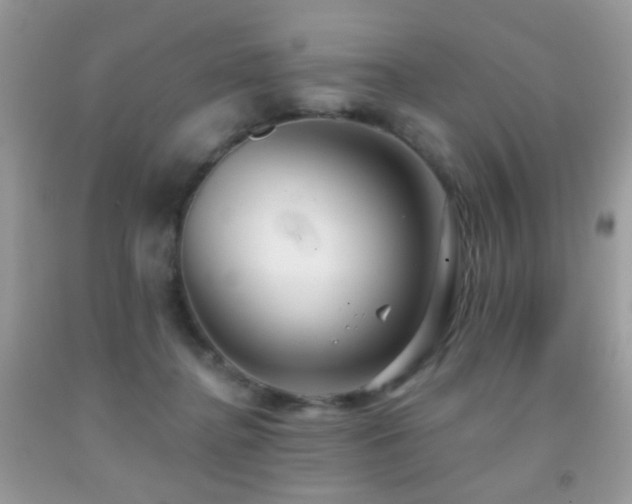 X0000091970364200709061337