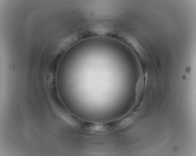 X0000091970365200709061337