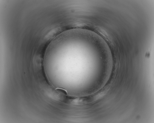 X0000091970366200709061337