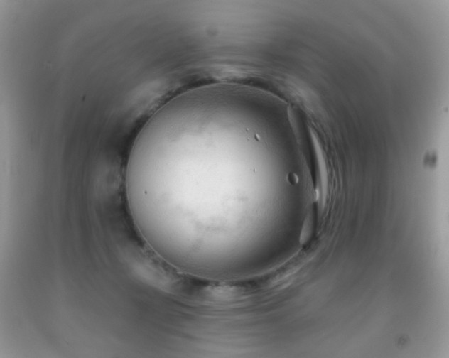 X0000091970367200709061337