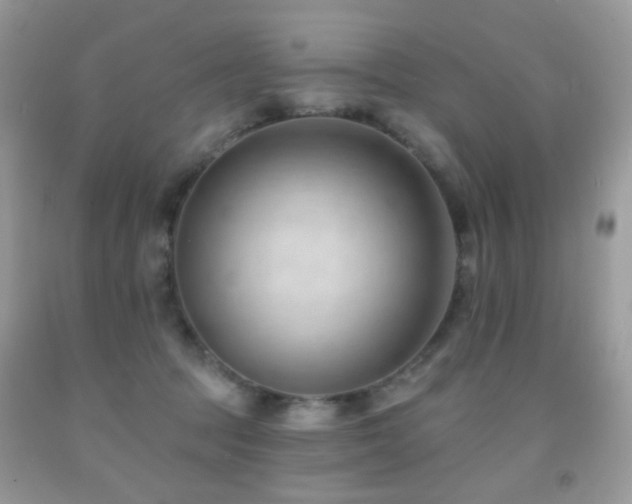 X0000091970369200709061337