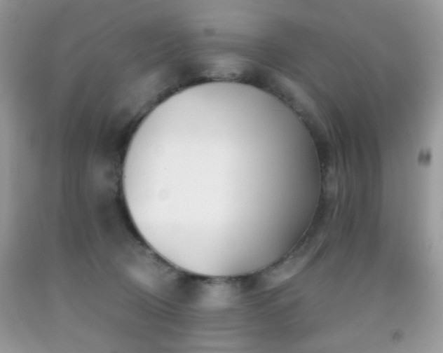 X0000091970370200709061337