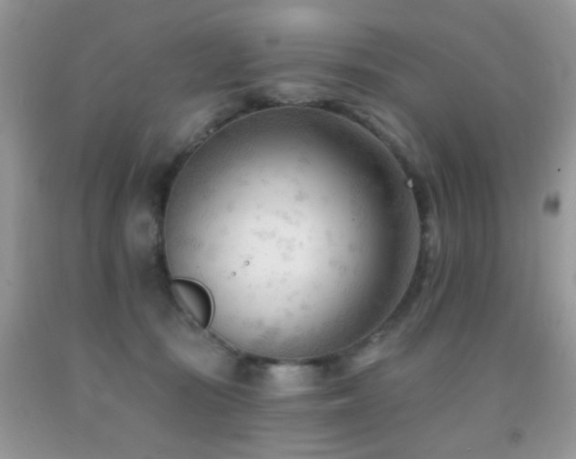 X0000091970371200709061337