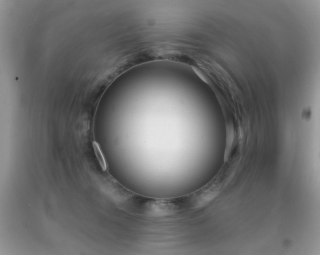 X0000091970372200709061337