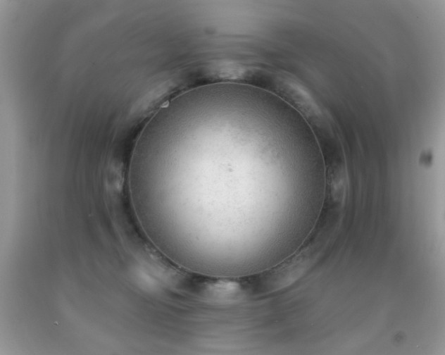 X0000091970374200709061337