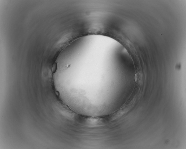 X0000091970375200709061337
